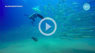 FINAL171002_LOSCABOS_TESTIMONIAL_BETH_HIGH_SUBS