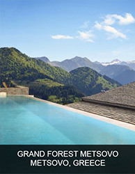 Grand Forest Metsovo
