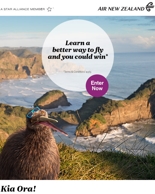 better way to fly sweepstakes
