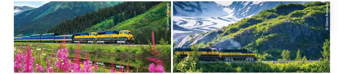 Summer Trains Graphic