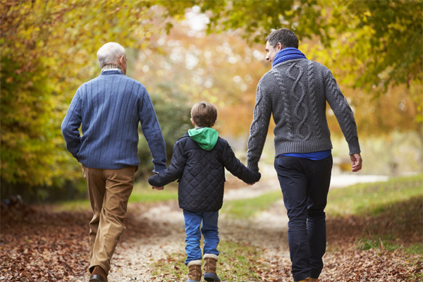 Top full image 600x300