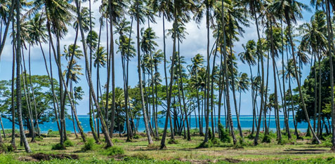 The Islands of Tahiti