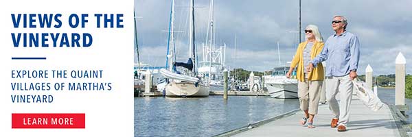 Views of the Vineyard