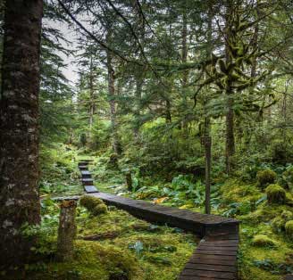 Complimentary Signature Expedition