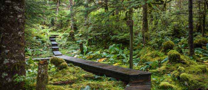 Complimentary Signature Expedition