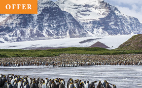 Antarctica, South Georgia & the Falkland Islands