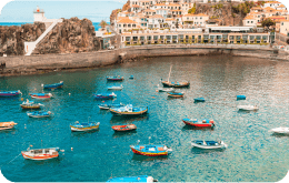 boats on water