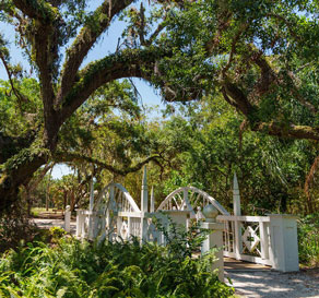 A scenic view of a white wooden bridge under a large, moss-covered tree in a lush Florida park.