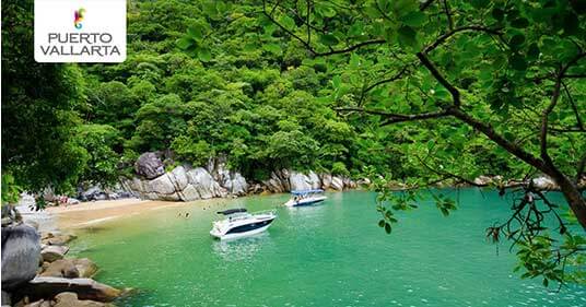 Become a Puerto Vallarta Specialist