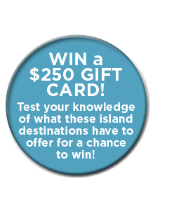 WIN A $250 GIFT CARD!