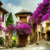 Colors of Provence