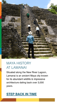 Maya History at Lamanai