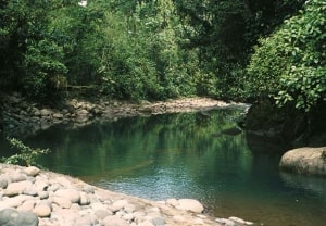 Trip_AHS_002_online