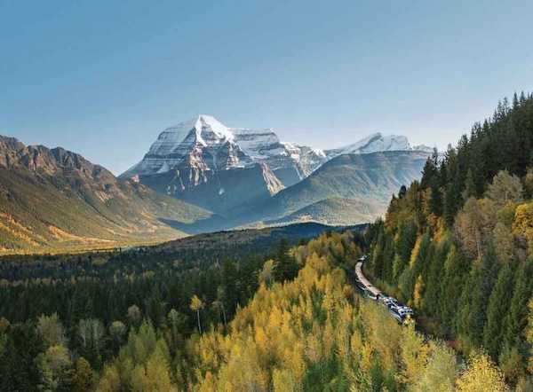 Train going through a forest in the fall in the Canadian Rockies