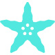 starfish