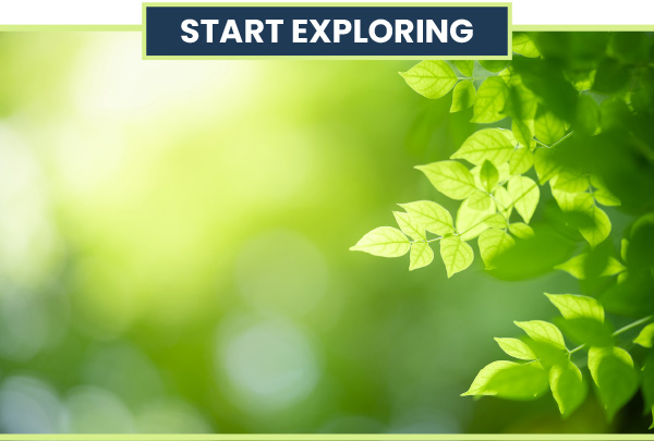 START EXPLORING