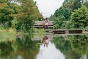 Wellness at City Park